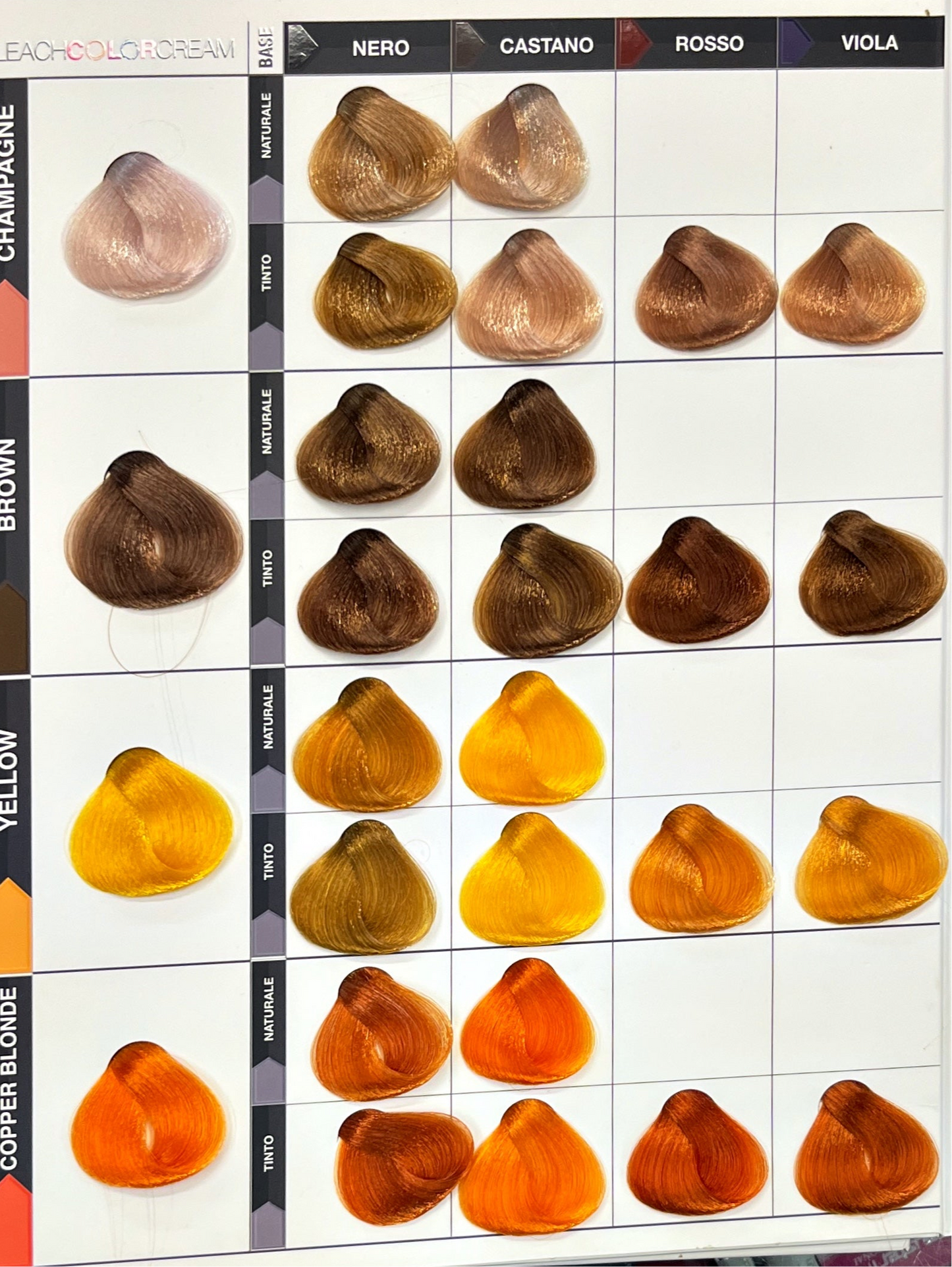 Bleach Decolora e Colora Pigment Color 80 g. - RETRO'