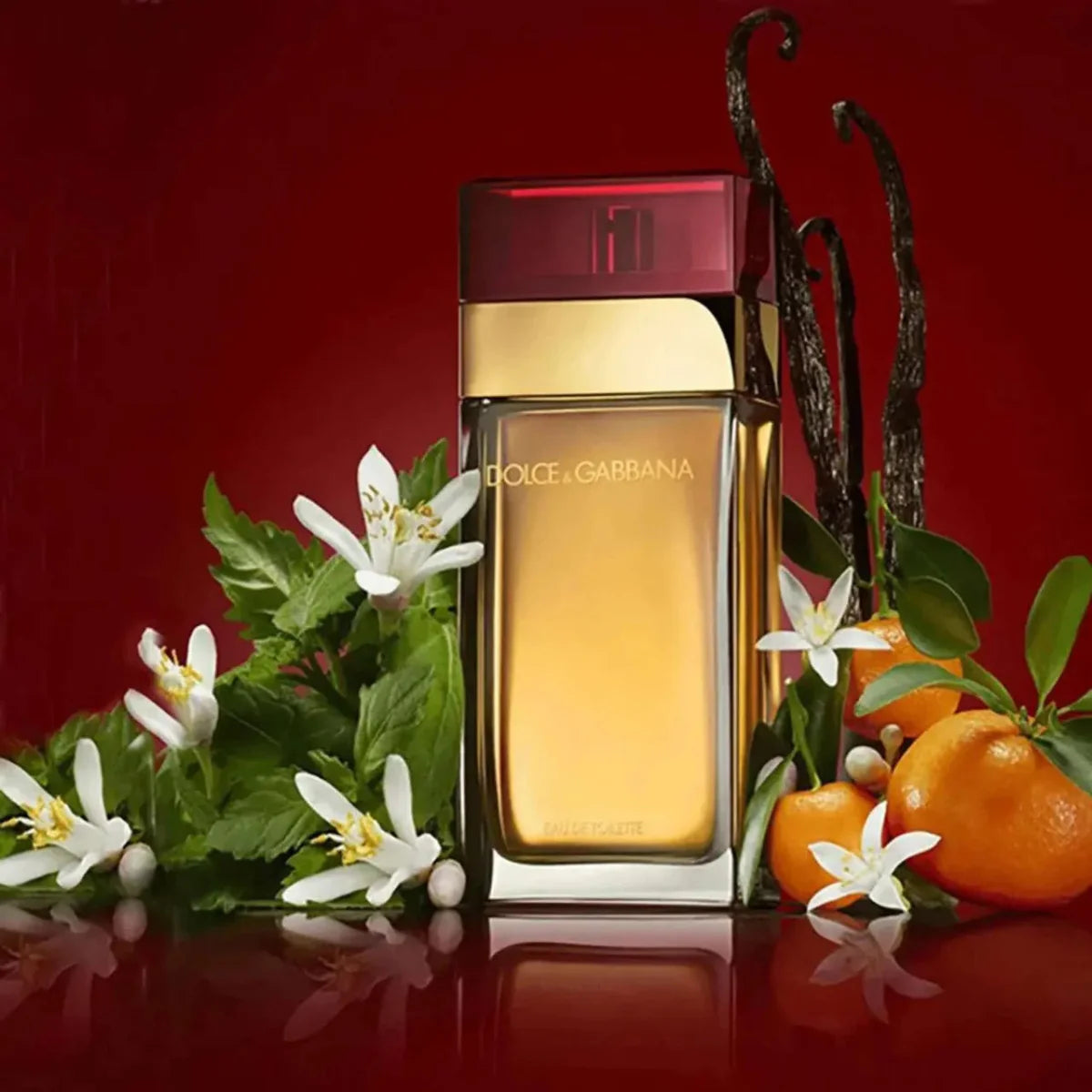Pour Femme Eau de Toilette Donna Classico - DOLCE&GABBANA