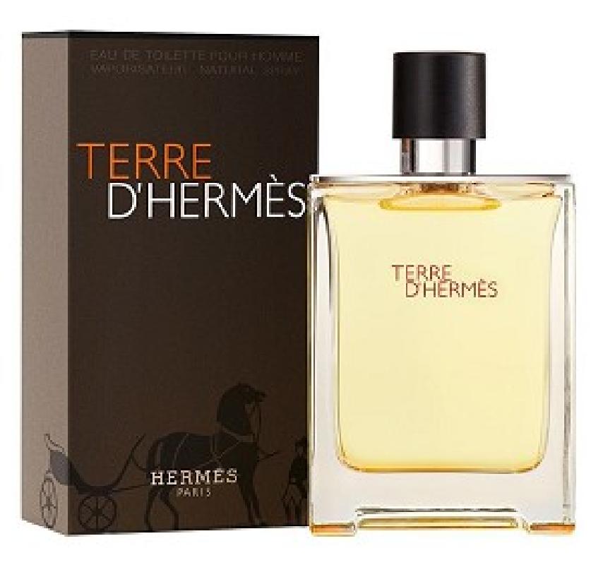 Terre D'Hermes Eau de Toilette - HERMES