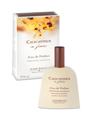 Calycanthus in Fiore fragranza - AMERIGO