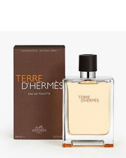Terre D'Hermes Eau de Toilette - HERMES